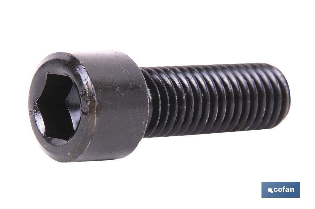 DIN-912 C-12.9    M-6 X 25 N